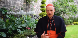 Mensaje del Cardenal Carlos Aguiar Retes, Arzobispo Primado de México, por el inicio del Sínodo de la Amazonía